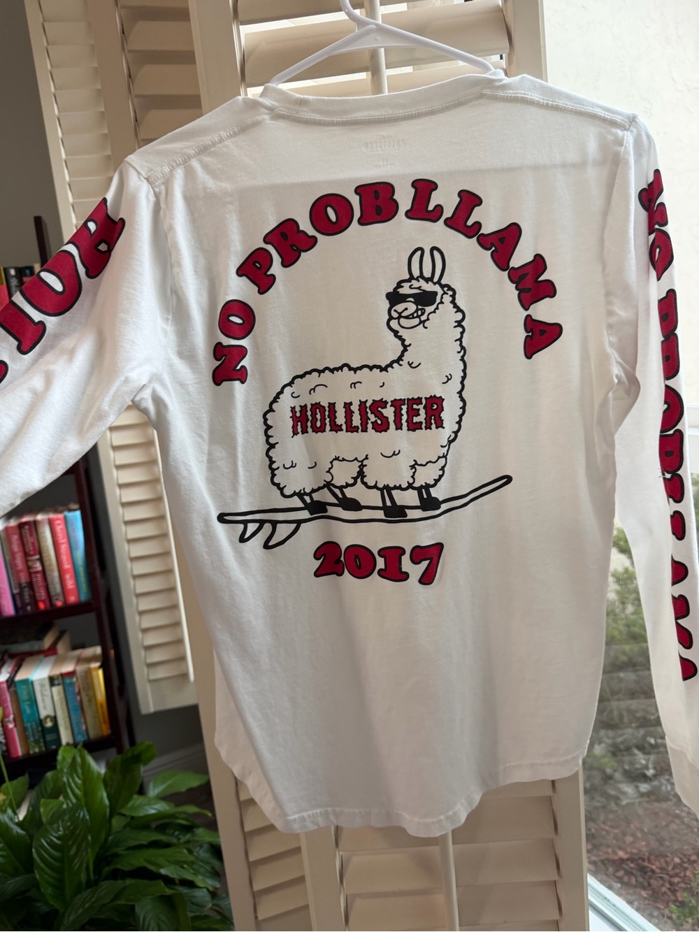 Hollister White Long-Sleeve Tee with Pink & Black Llama Graphic